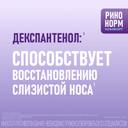 Ринонорм Комфорт 0,1 мг/доза+5 мг/доза спрей назальный 10 мл