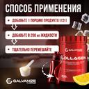 Galvanize Коллаген порошок Ледяной лимонад 300 г