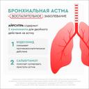 Айрсупра 80 мкг/доза+90 мкг/доза аэрозоль для ингаляций 120 доз