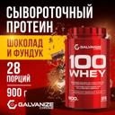 Galvanize 100 Сывороточный протеин порошок Шоколад и фундук 900 г