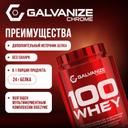 Galvanize 100 Сывороточный протеин порошок Шоколад и фундук 900 г