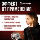 Galvanize 100 Сывороточный протеин порошок Ваниль 900 г