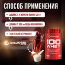 Galvanize 100 Сывороточный протеин порошок Клубника 900 г