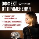 Galvanize Макс Сывороточный протеин порошок Шоколад с фундуком 900 г