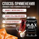 Galvanize Макс Сывороточный протеин порошок Соленая карамель 900 г