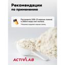 ActivLab Белково-углеводная смесь Ваниль 1200 г
