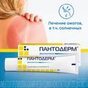 Пантодерм 5% мазь для наружного применения 30 г