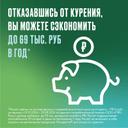 Никоретте 2 мг резинка жевательная лекарственная Свежая мята 30 шт