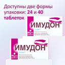 Имудон таблетки для рассасывания 24 шт
