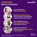 Малоежка Питание детское сбалансированное с 1 до 10 лет Шоколад 200 мл